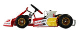 Birel Art Kid Kart with Comer C51 Engine